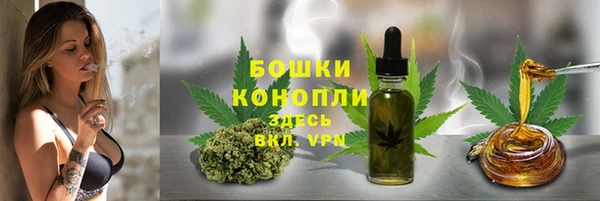 шишки Володарск