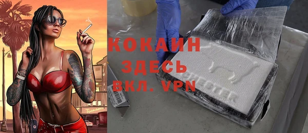 шишки Володарск