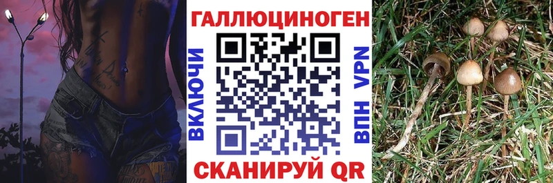 Галлюциногенные грибы Cubensis  магазин продажи   Ноябрьск 